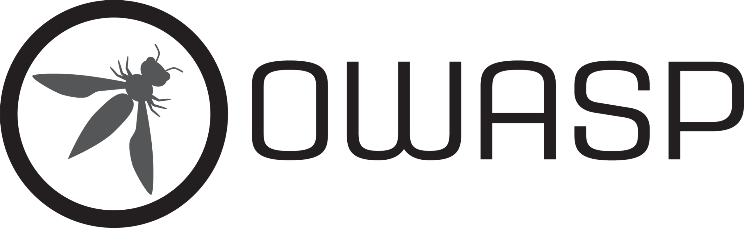 Pentest 11